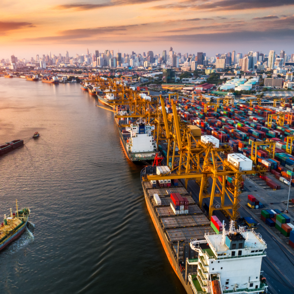 Trang Chủ - LEDICO SHIPPING